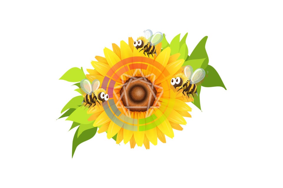 Tournesol et ennéagramme